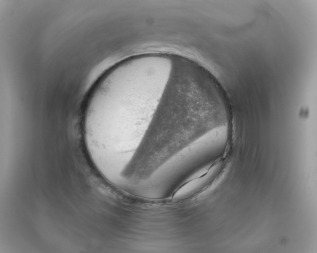 X0000090781501200708172117