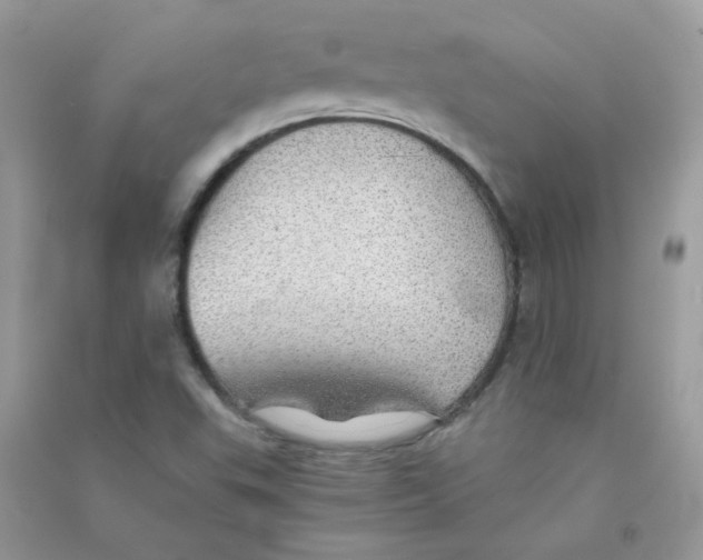 X0000090781503200708172117