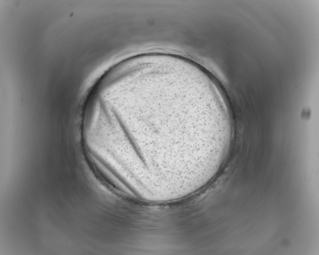 X0000090781504200708172117