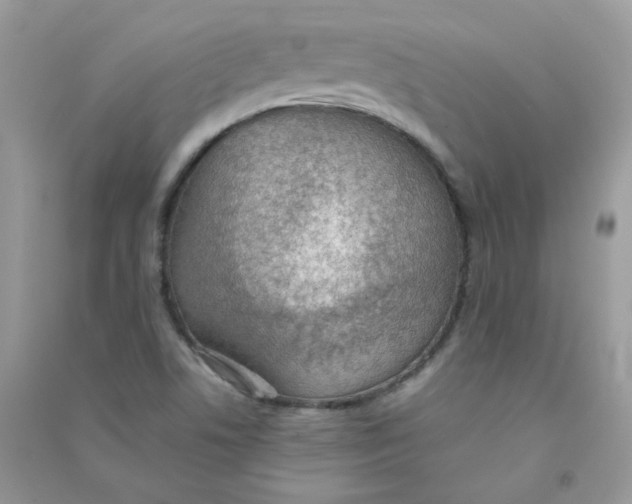 X0000090781506200708172117