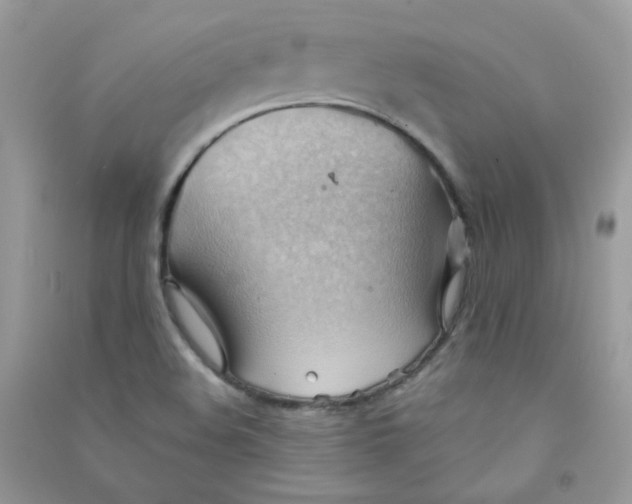 X0000090781508200708172117