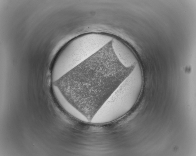 X0000090781509200708172117