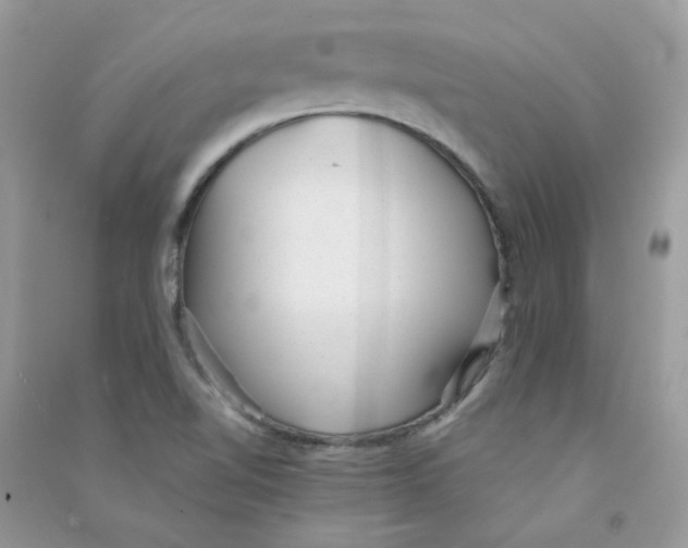 X0000090781510200708172117