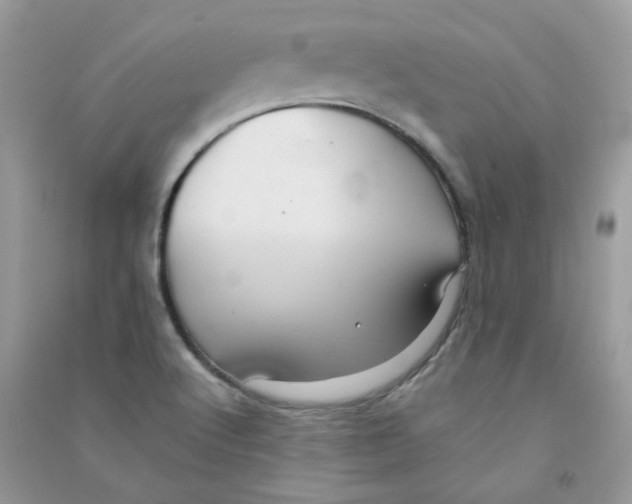 X0000090781512200708172117