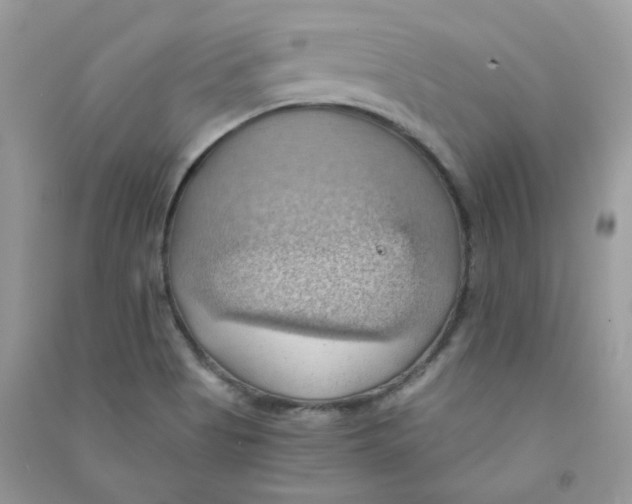 X0000090781513200708172117