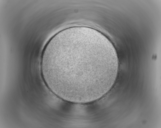 X0000090781514200708172117