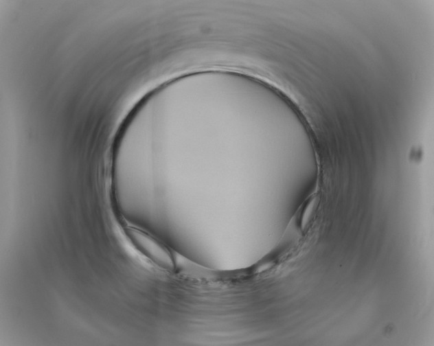 X0000090781515200708172117