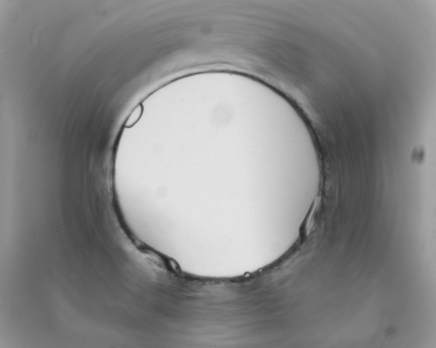 X0000090781516200708172117