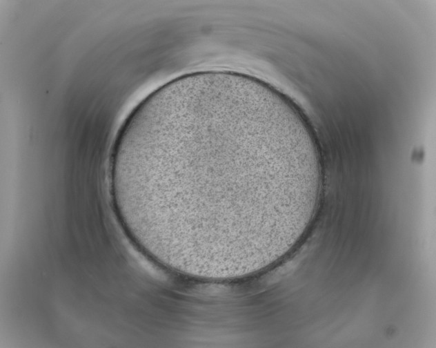 X0000090781517200708172117