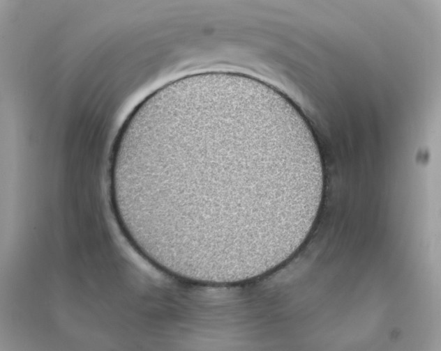 X0000090781518200708172117