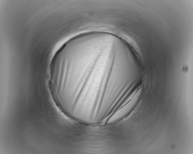 X0000090781520200708172117