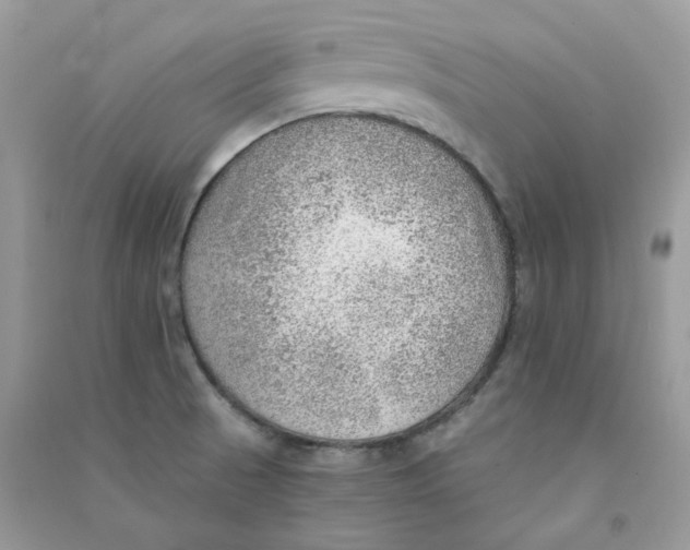 X0000090781521200708172117