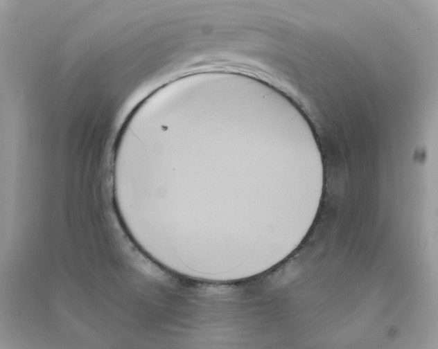 X0000090781522200708172117