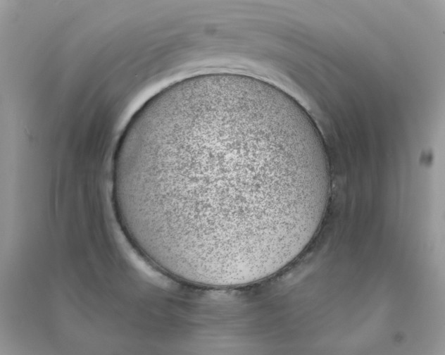 X0000090781523200708172117