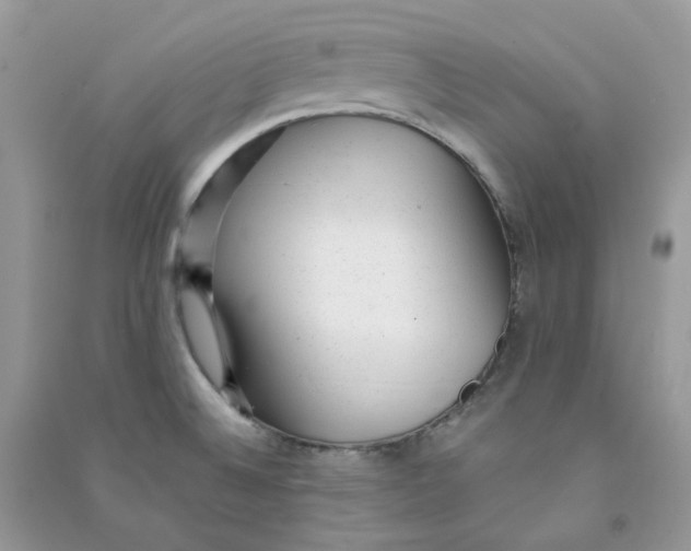 X0000090781524200708172117