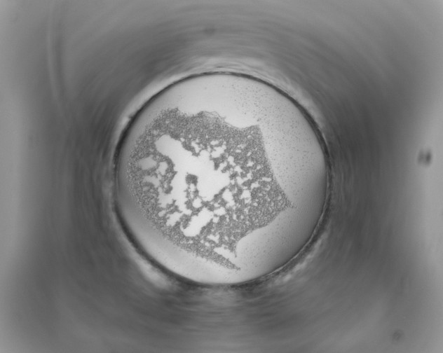 X0000090781525200708172117