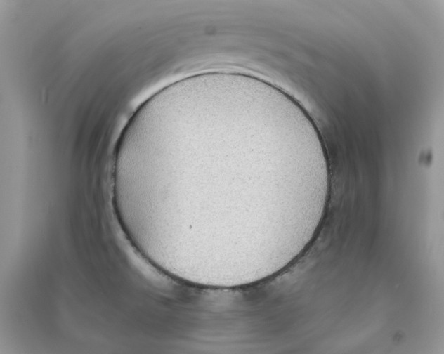 X0000090781526200708172117