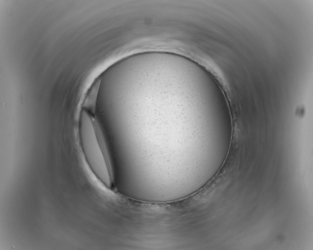 X0000090781528200708172118