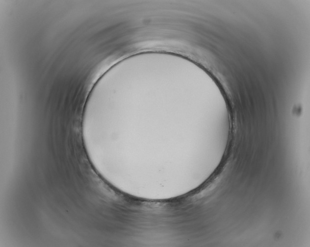 X0000090781529200708172118