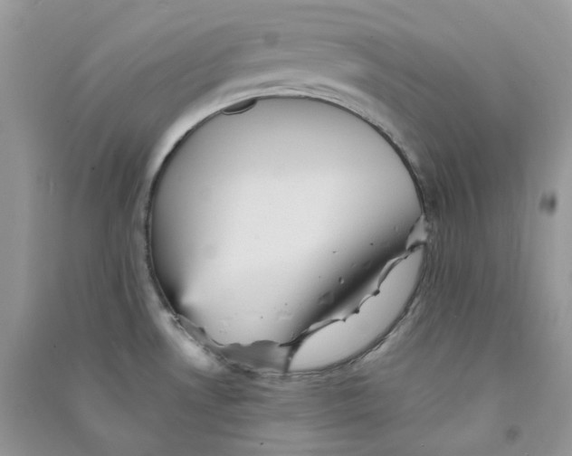 X0000090781530200708172118