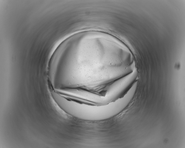 X0000090781532200708172118