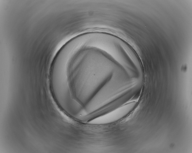 X0000090781533200708172118