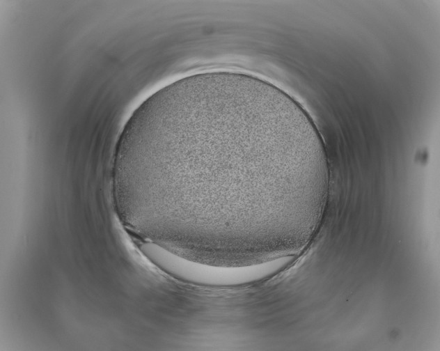X0000090781534200708172118