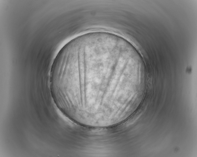 X0000090781535200708172118