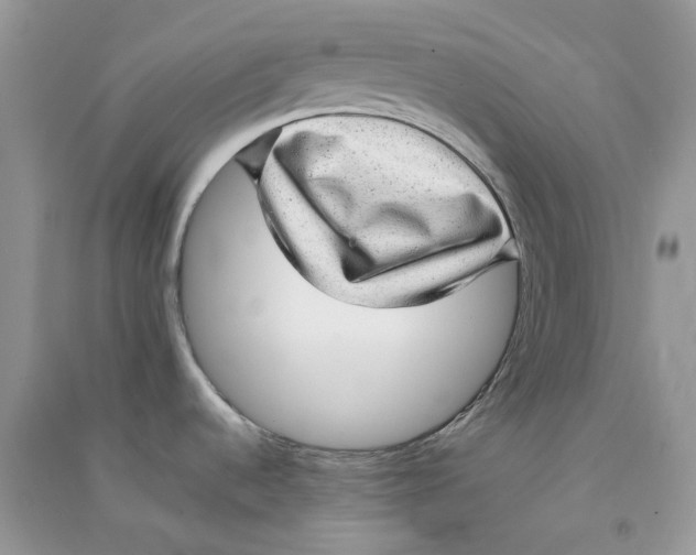 X0000090781536200708172118
