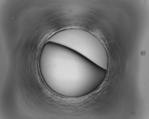 X0000090860001200707270943