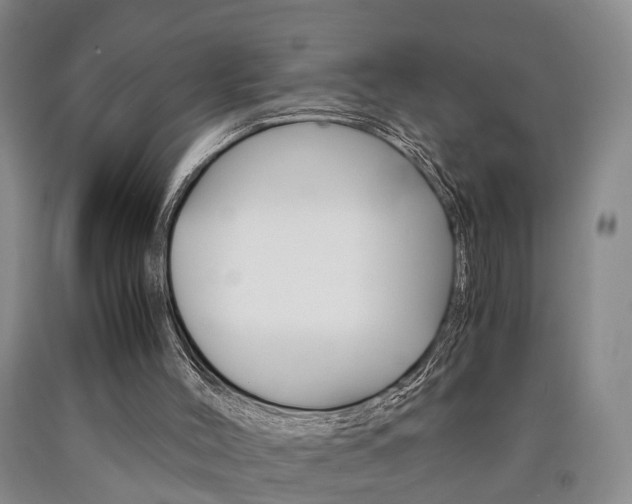 X0000090860004200707270943