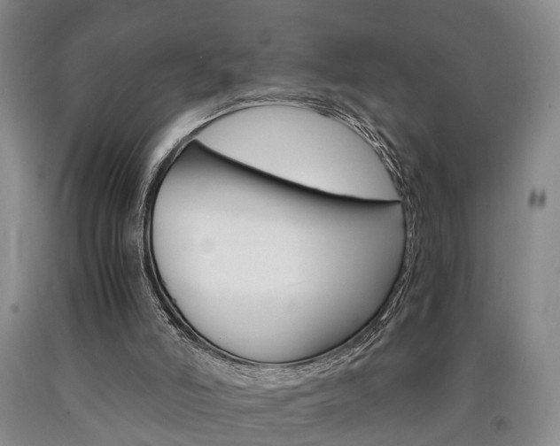 X0000090860006200707270943