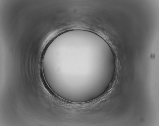 X0000090860007200707270943
