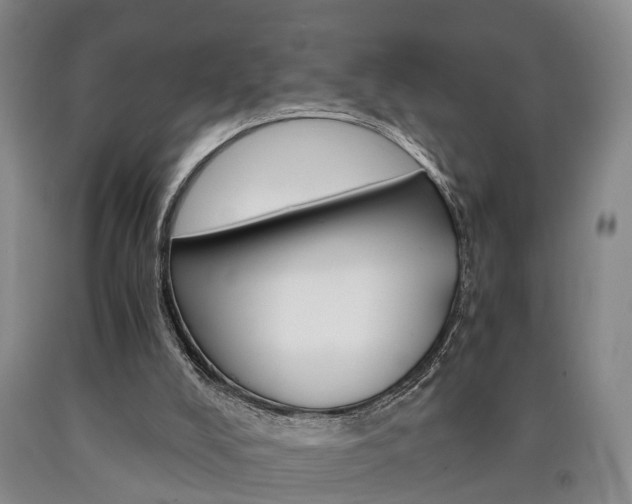 X0000090860008200707270943
