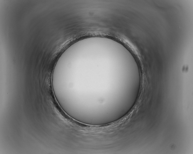 X0000090860009200707270943