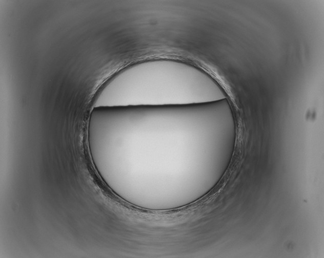 X0000090860010200707270943
