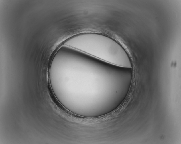 X0000090860011200707270943