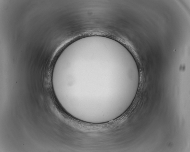 X0000090860012200707270943