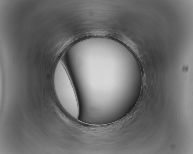 X0000090860013200707270943