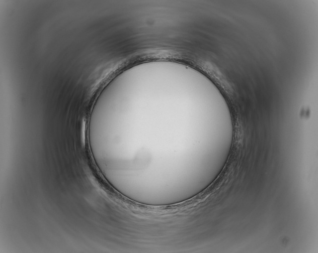 X0000090860014200707270943