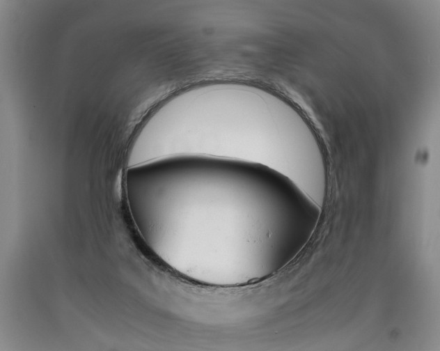 X0000090860019200707270943