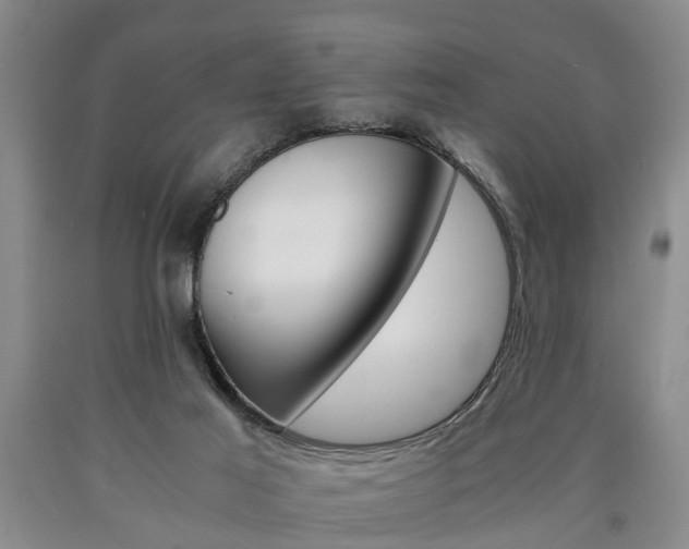 X0000090860021200707270943