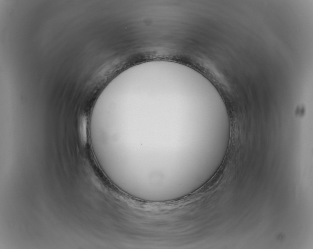 X0000090860022200707270943
