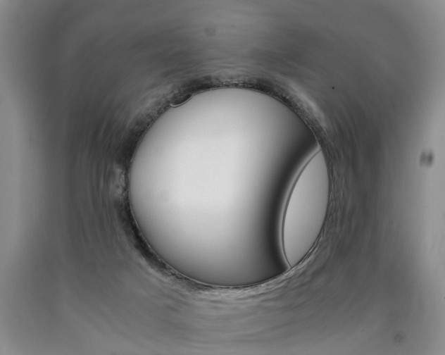 X0000090860025200707270943