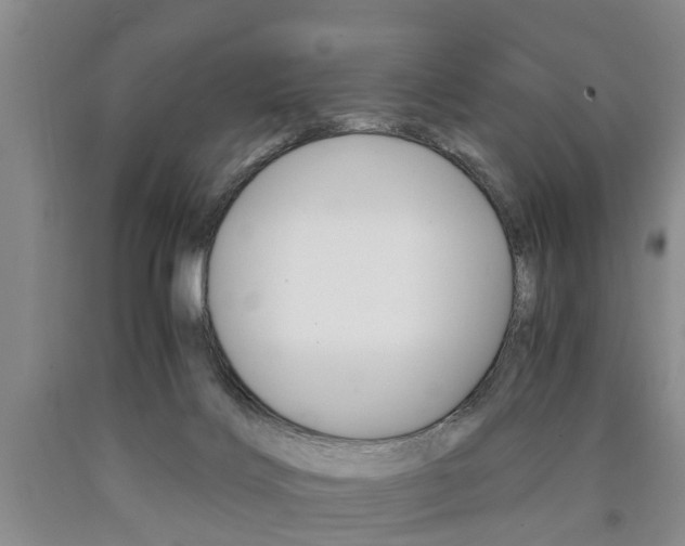 X0000090860028200707270943