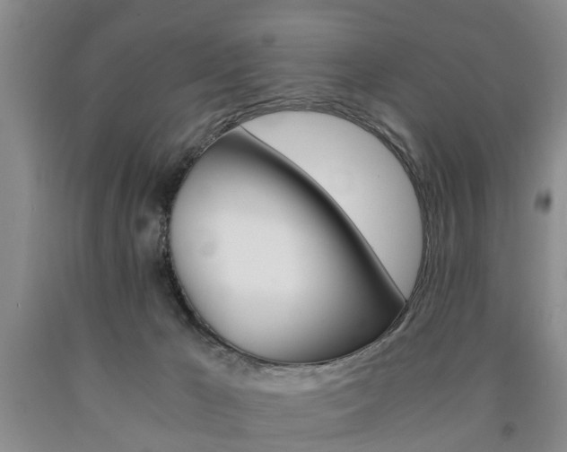 X0000090860029200707270943