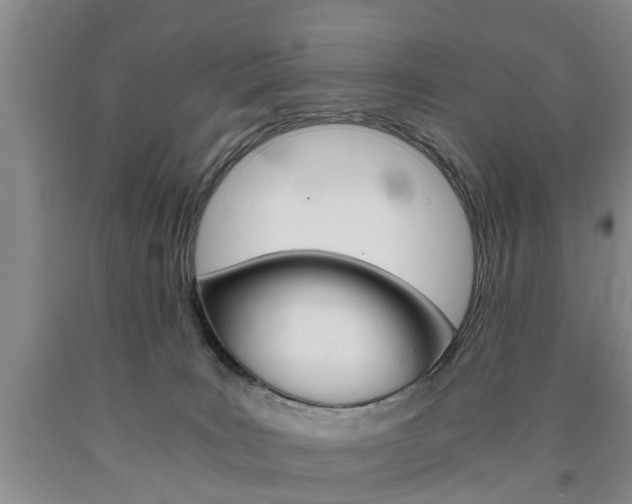 X0000090860035200707270943