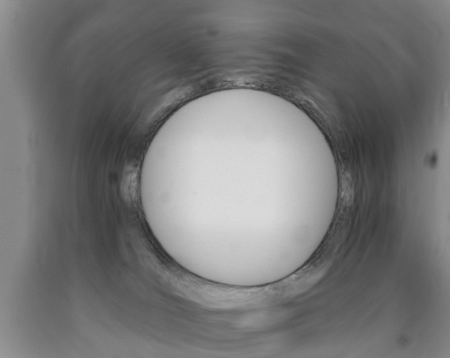 X0000090860036200707270943