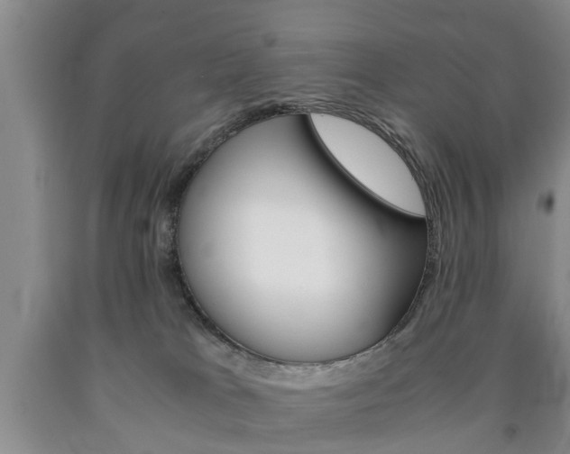 X0000090860037200707270943