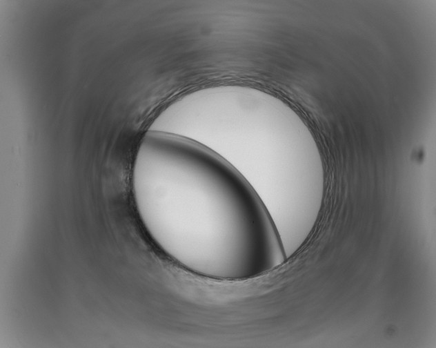 X0000090860039200707270943